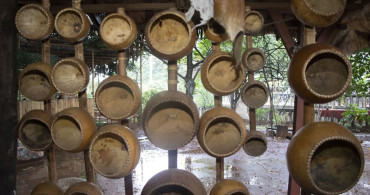 Mvet: Orta Afrika’nın Kendine Has Çalgısı ve Kültürel Mirası