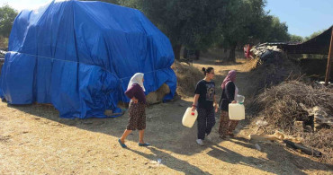 Nazilli'deki zirai alan yangını kontrol altına alındı