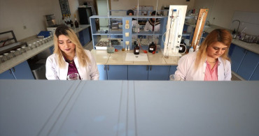 Nevşehir'de Toprak Analizi ile Kabak Çekirdeği ve Patatesin Verimi Artıyor