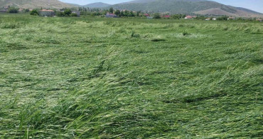 Niğde’de Tarımsal Alanlara Dolu ve Sağanak Zararı