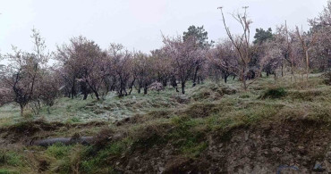Nisan Ayında Afyonkarahisar'da Kış Sürprizi