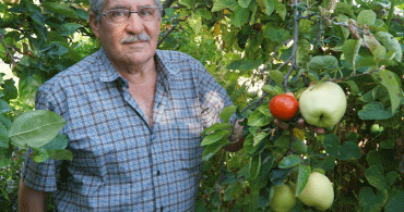 O Meyvenin Adı Hala Bilinmiyor