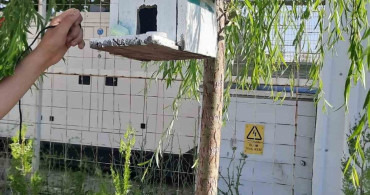 Öğrencilerden Kuşlar İçin Anlamlı Proje