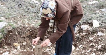 Öğretmen Adayları Fidan Dikti
