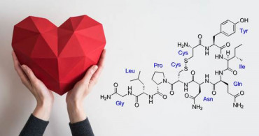 Oksitosin Nedir? Aşk Hormonu Oksitosin Ne İşe Yarar?