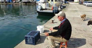 Olta Balıkçısı Bülent Şahin'in Sokak Köpeklerine Şefkati