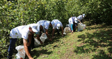 Ordu'da Dev Fındık Projesi ile 'Fındık Dal da Kalmayacak'!