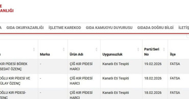 Ordu'da Kır Pidesi Harcında Kanatlı Eti İhlali