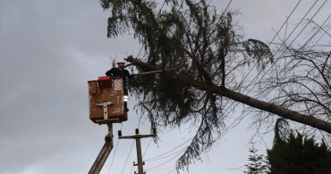 Ordu'da Şiddetli Rüzgar Elektrik Tellerini Hasara Uğrattı