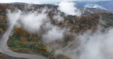 Ordu'da Sonbahar Güzellikleri Sisle Buluştu