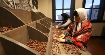 Ordu'daki Kahraman Sağra Fındık Müzesi Ziyaretçi Rekoru Kırdı