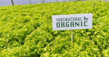 Organik Diye Satılan Ürünlere Dikkat: Göğüs Kanserine Neden Oluyor