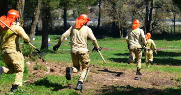 Ormancılıkta Rekabet: Madalyalar İçin Yarıştılar