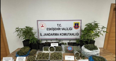 Ormanda Uyuşturucu Ticareti Operasyonu: Jandarma'dan Tutuklama