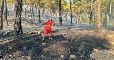 Ortaca'da orman yangını: ekipler havadan ve karadan müdahale ediyor