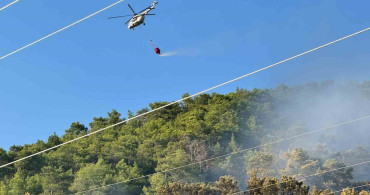 Ortaca'daki orman yangını kontrol altına alındı