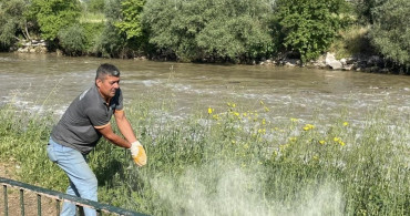 Osmaneli Mesire Alanında Haşere ve Yılanlarla Mücadele