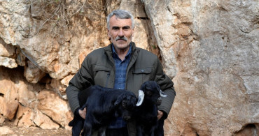 Osmaniye'de 50 Yıldır Kavalıyla Sürüsünü Yönlendiren Çoban