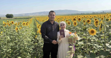 Osmaniye'de ayçiçeği tarlaları yeni evli çiftlerin gözdesi oldu
