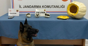 Osmaniye'de Bal Kabaklarında Uyuşturucu Yakalandı