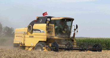 Osmaniye'de Buğday Hasadı Başladı: Yağışlar Maliyetleri Azalttı, Dolu Verimi Etkiledi