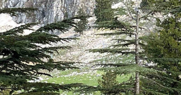 Osmaniye'de Kayalıklardan Düşen Vatandaş Hayatını Kaybetti