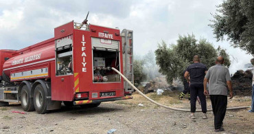 Osmaniye'de saman balyaları yandı, zeytin fidanları zarar gördü