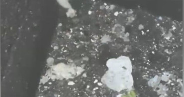 Osmaniye’de su kuyusuna düşen yavru kedi kurtarıldı