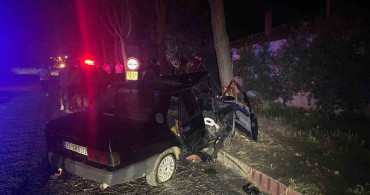 Otomobil sokak köpeğinden kaçarken ağaca çarptı: 1'i ağır 2 yaralı