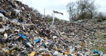 Oxfordshire'de Yüzlerce Ton Kaçak Atık: Çevresel Endişeler Artıyor