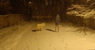 Özalp'ta Nisan Ayında Kar Yağışı Etkili Oldu