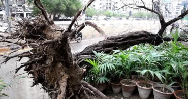 Pakistan'da Şiddetli Yağışlar Can Aldı