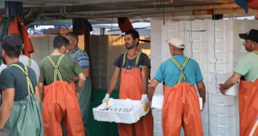 Palamut Bollaştı Fiyatın 10 Liranın Altına İnmesi Bekleniyor