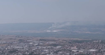 Pamukkale'deki ormanlık alanda yangın