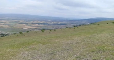 Paraşüt atlayışı faciaya dönüştü: 1 ölü, 2 yaralı!