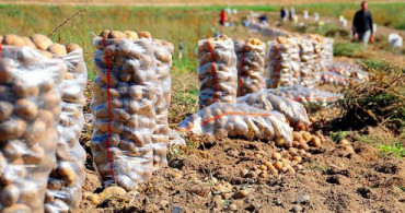 Patates ve Kuru Soğan İhracatına Kısıtlama