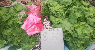 Pazarda Satılmaya Başlanan Asma Yaprak, Üzümden Pahalı Olunca Vatandaşlar Şaşırdı