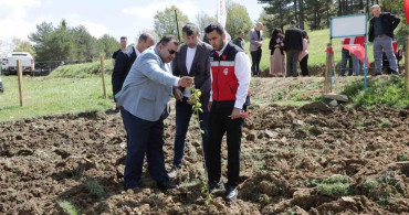 Pazarlar'daki Hazine Arazisi Tarıma Kazandırıldı