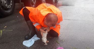 Pendik'te Boğulan Yavru Kedi, Suni Teneffüsle Hayata Döndürüldü