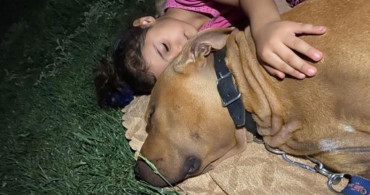 Pitbull Saldırısı Sonucu Ölümden Dönen Minik Asiye'den Sevindirici Haber: Haftaya Taburcu Oluyor!