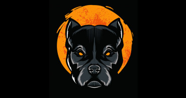 Pitbull Token Nedir?