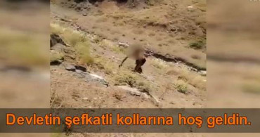 PKK'da Çözülme Artıyor! Hakkari'de Teslim Oldu