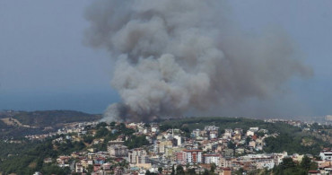 PKK'ya Orman Yakma Emri Veren terörist Etkisiz Hale Getirildi