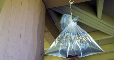 Plastik Poşetlerle Sivrisineklerden Kurtulabilirsiniz