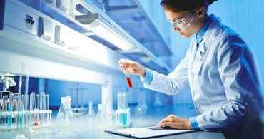 PLT (Trombosit) Nedir? Düşüklüğü ve Yüksekliği Ne Anlama Gelir?