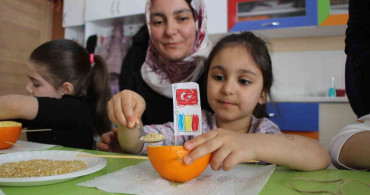 Portakal Kabukları Kuşlar İçin Doğal Yemlik ve Yuva Oluyor