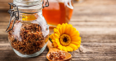 Propolis Nedir, Propolisin Faydaları Nelerdir?