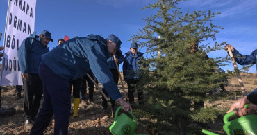 PTT AŞ 185. Yılında Ağaçlandırma Etkinliği Düzenledi