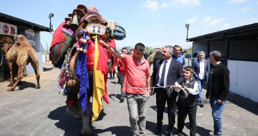 Pursaklar Belediyesi'nden Kurban Bayramı Öncesi Kesim Provası