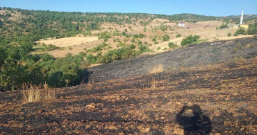 Pütürge'de çıkan yangında 2 ev ve 20 dönümlük alan zarar gördü